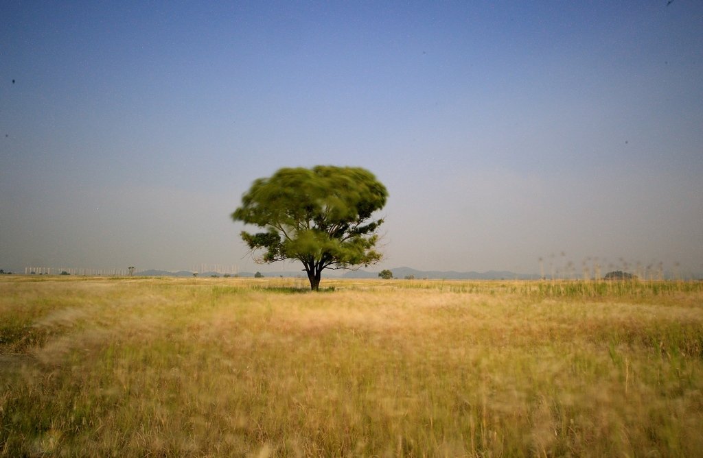 5K5A7431.JPG : 우믐도의 뺄기