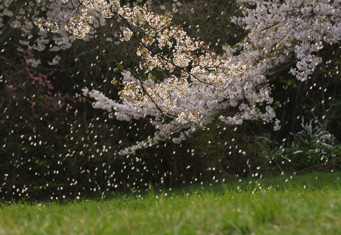 [크기변환]0T6A0881-2.jpg : 눈