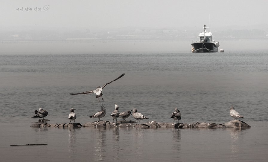 CE3A2927-5resize.jpg : 어서와