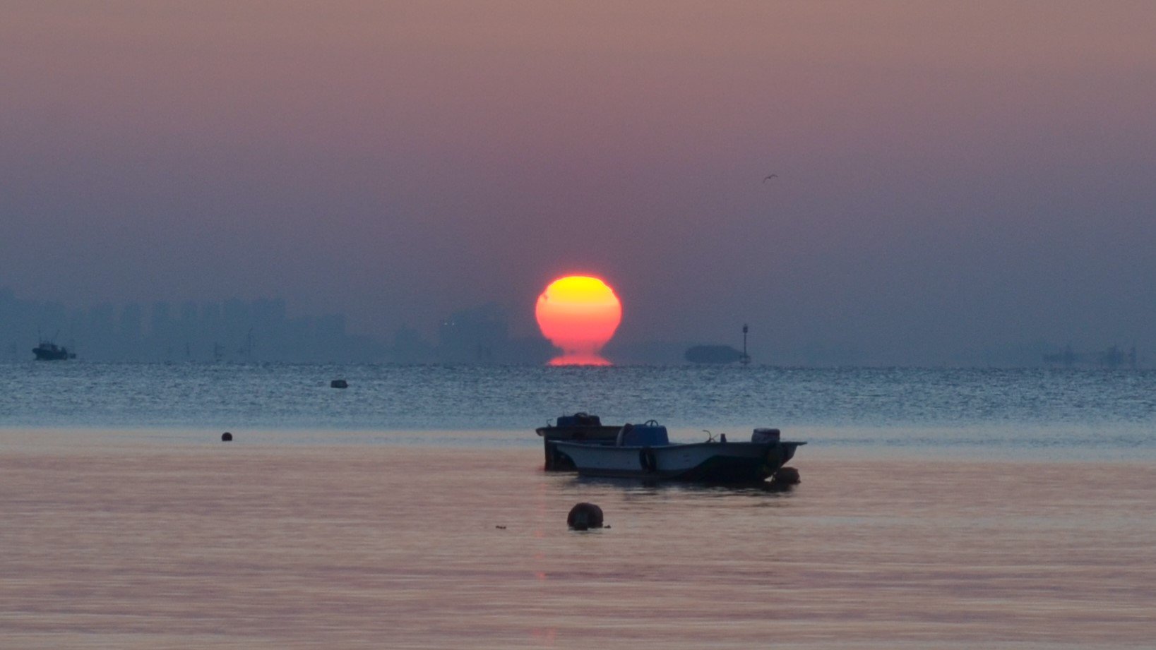 DSC_2671사본.jpg : 정모숙제