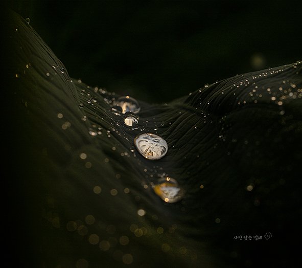 CE3A1102-3resize.jpg : 벙개 숙제(작은 우주)