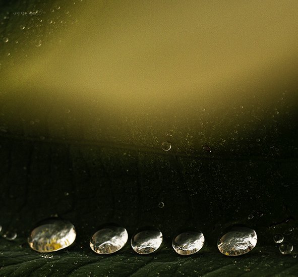 CE3A0995-3resize.jpg : 벙개 숙제(작은 우주)