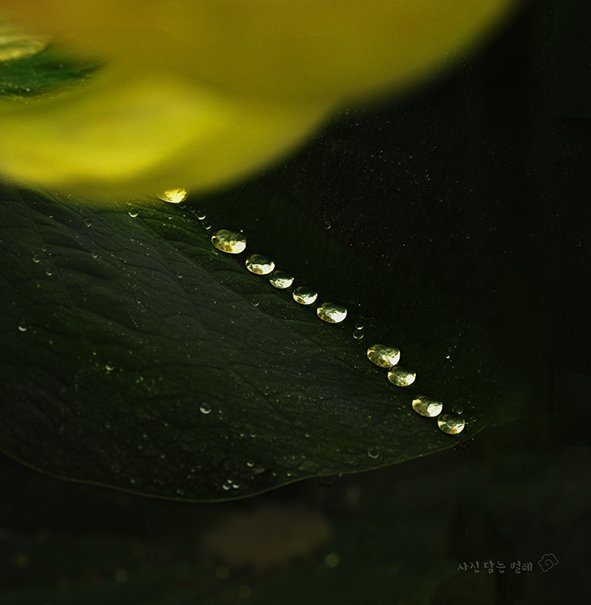 CE3A0948-2resize.jpg : 벙개 숙제(작은 우주)