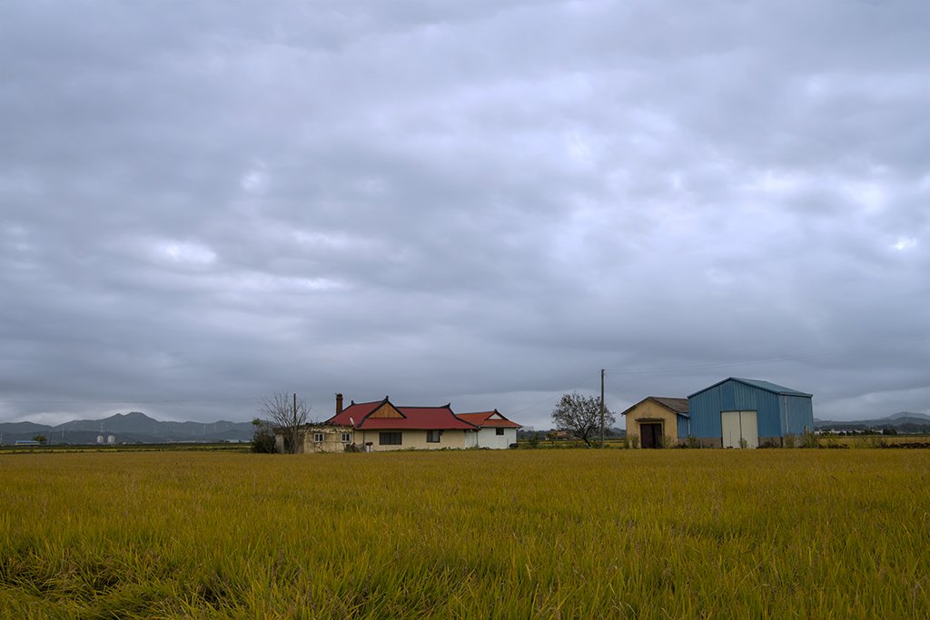 DSC_6630.jpg : 가을 문턱에 서서
