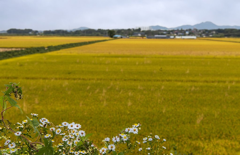 DSC_6616.jpg : 가을 문턱에 서서