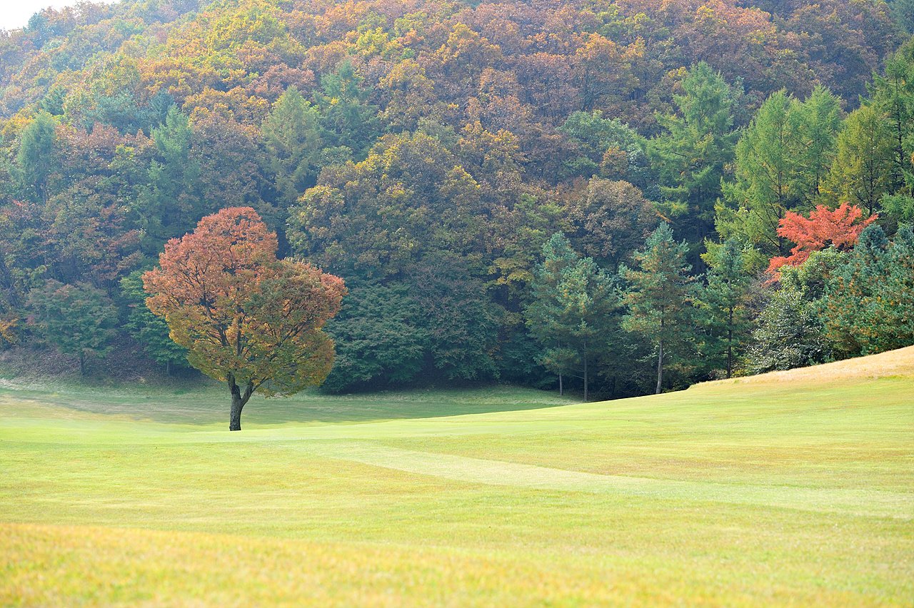 _DSC2992.jpg : 원주 오크벨리 CC 풍경