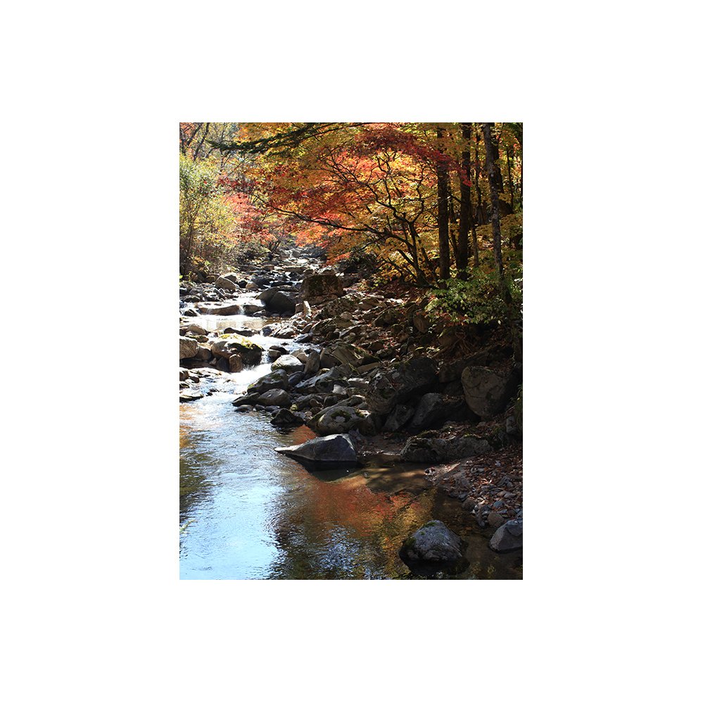 IMG_9294-1.jpg : 가을이 익다..