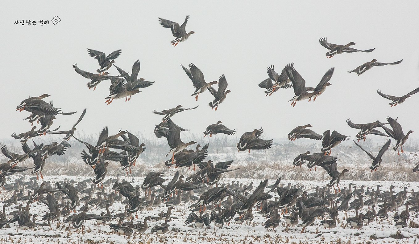 CE3A0011-1 resizefinal.jpg : 들판에서