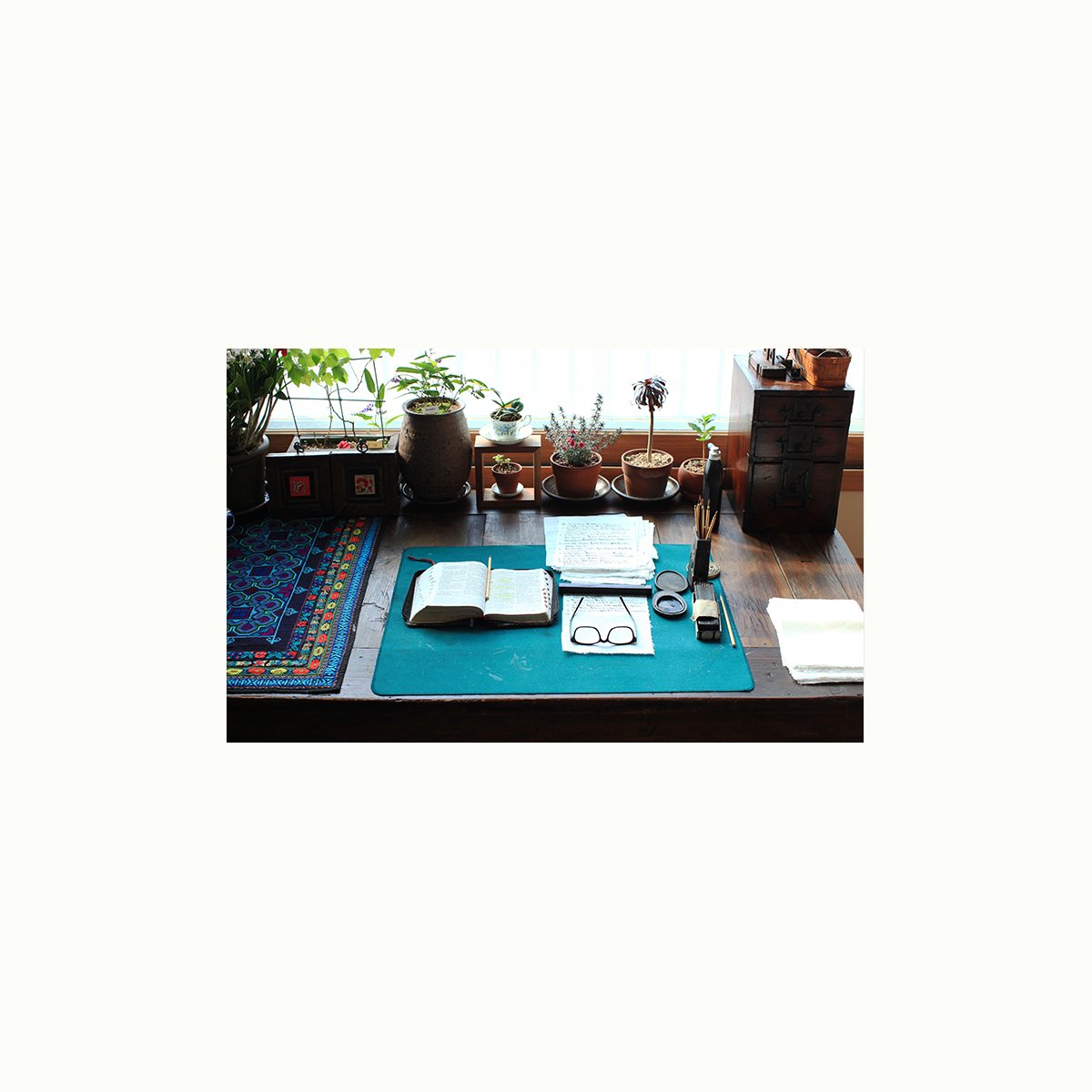 IMG_2106-필사.jpg : 들꽃 가득한 창가에서..