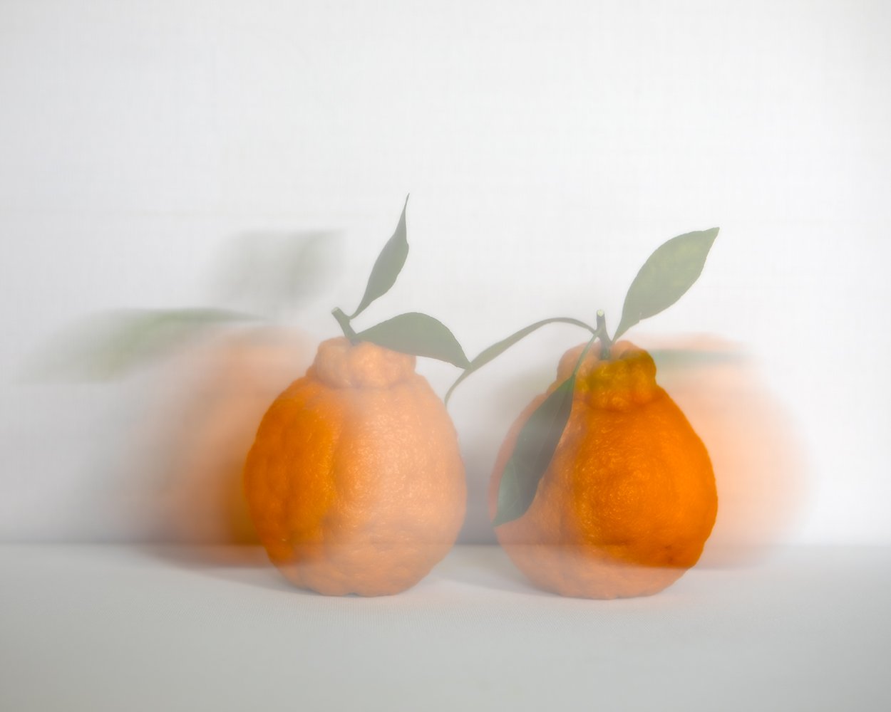 JWK12017.jpg : 실상과 허상