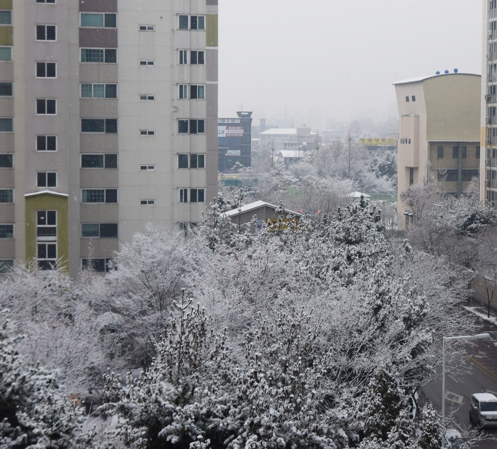 crDSC_0629cr.JPG : 떡국열차...