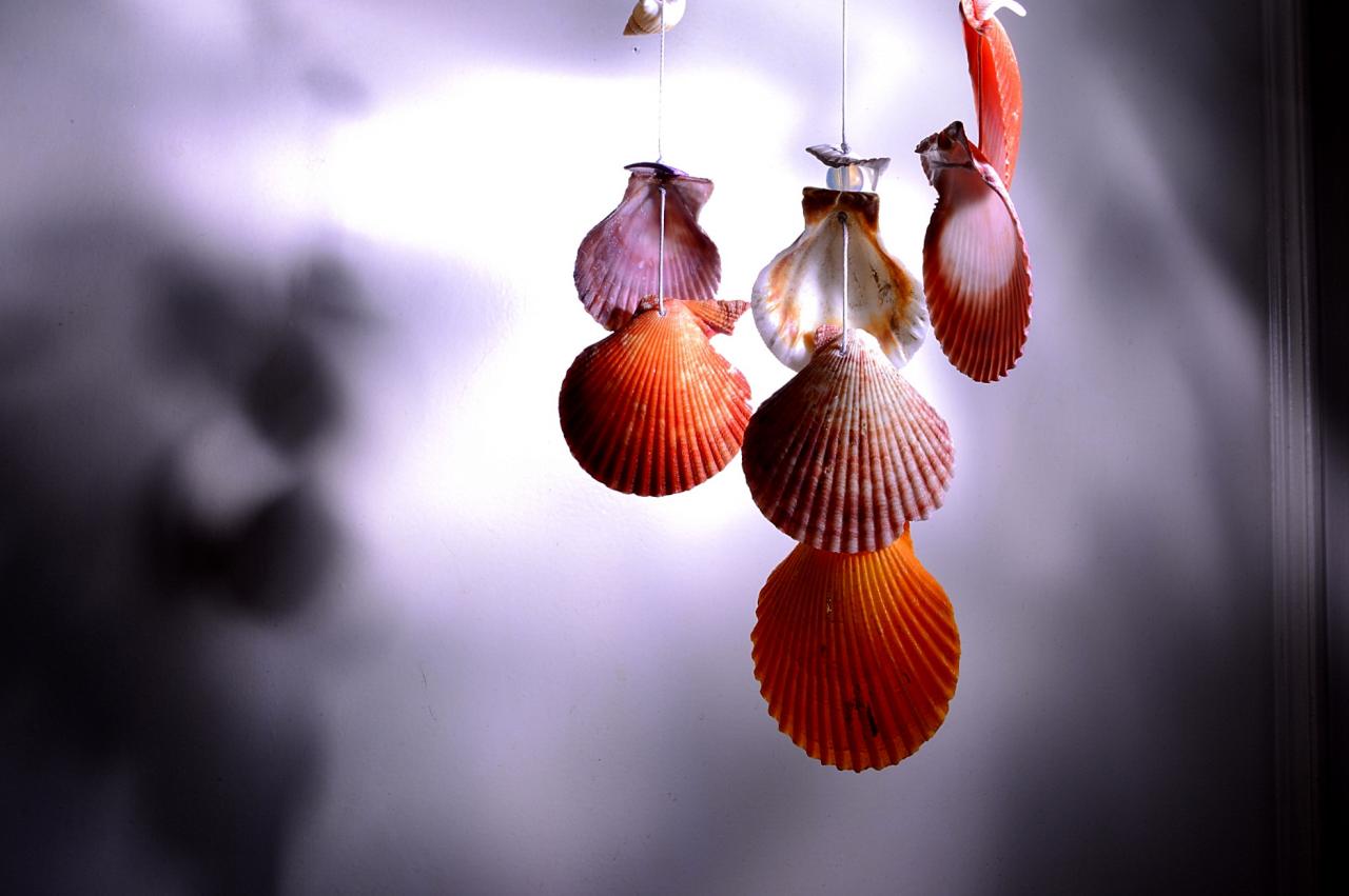 BandPhoto_5346527054.jpg : 조개껍질 먹고~~