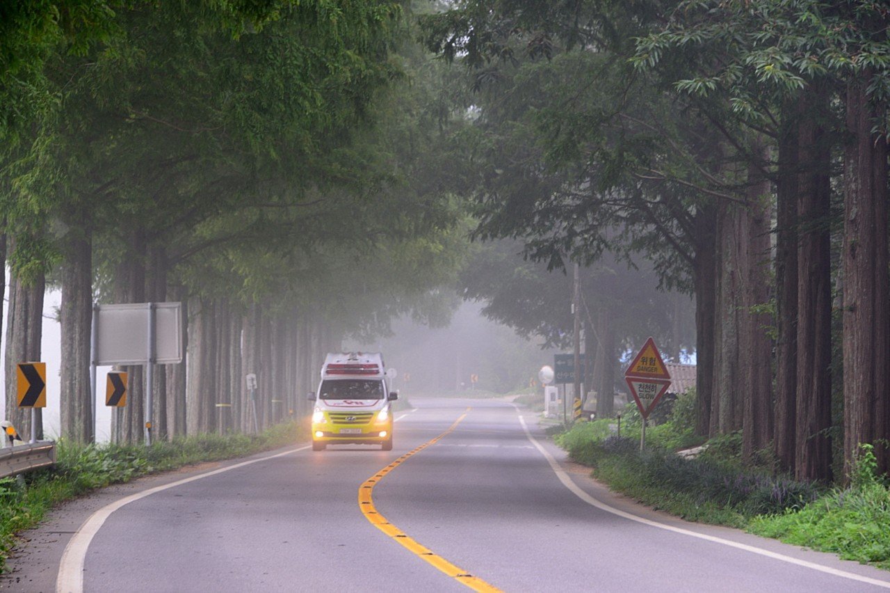 BandPhoto_9914257506.jpg : 보성에서