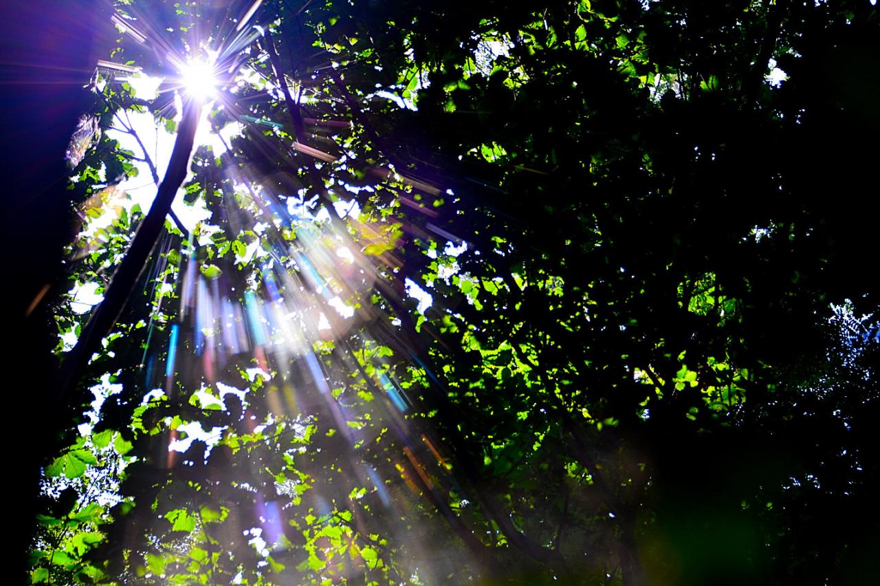 BandPhoto_6618130833.jpg : 아침빛처럼