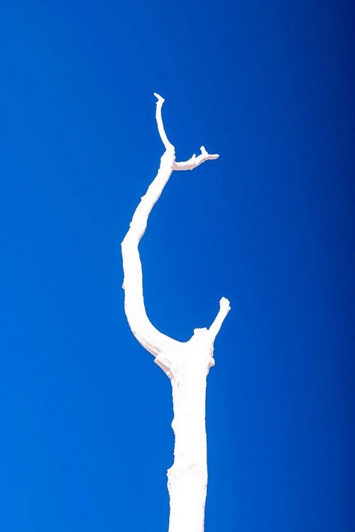 이정표4.jpg : 정모숙제 2