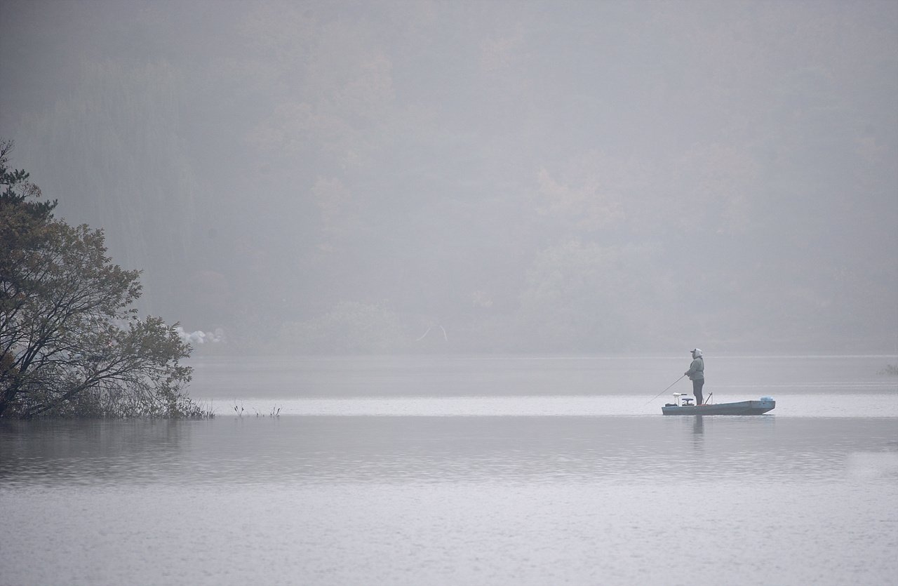 _DSC0385_00001.jpg : 11월 정모 고삼지