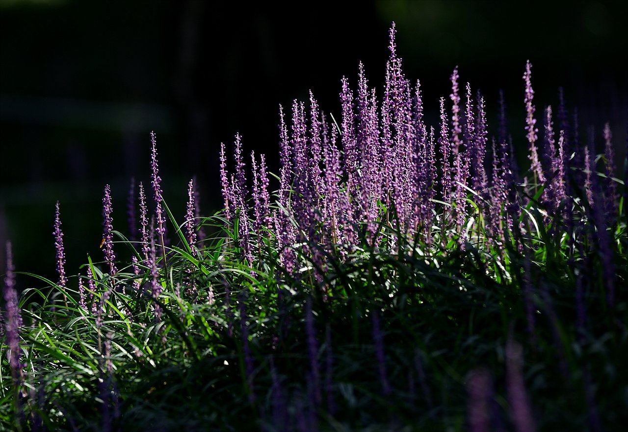 _DSC9859.jpg : 8월 정모 다녀왔습니다.