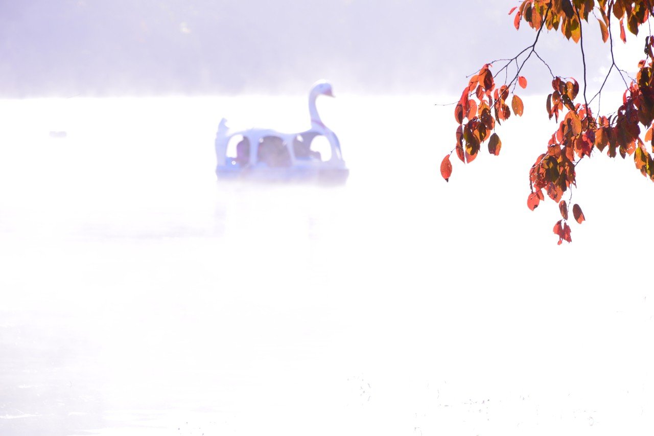 BandPhoto_10580255392.jpg : 추색