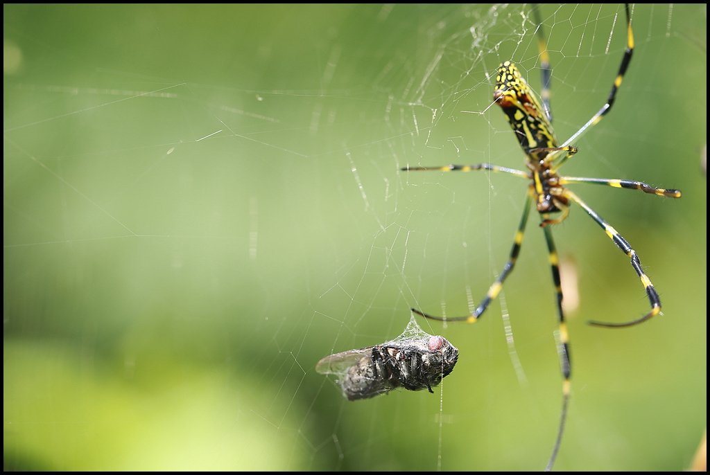 8D1A4979.jpg : 얘들아~~ 밥 먹자~~~