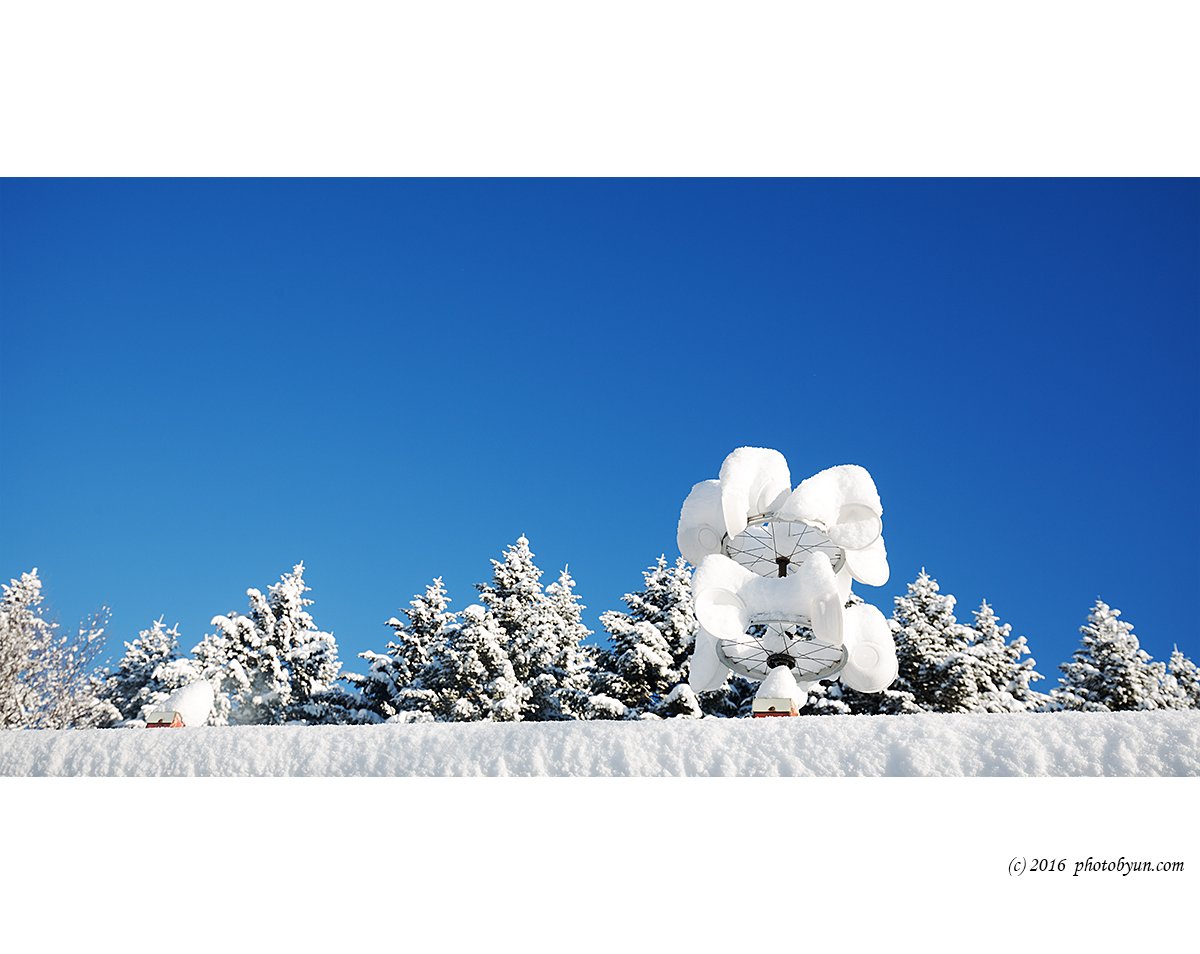 Q23C6426.jpg : 양때목장