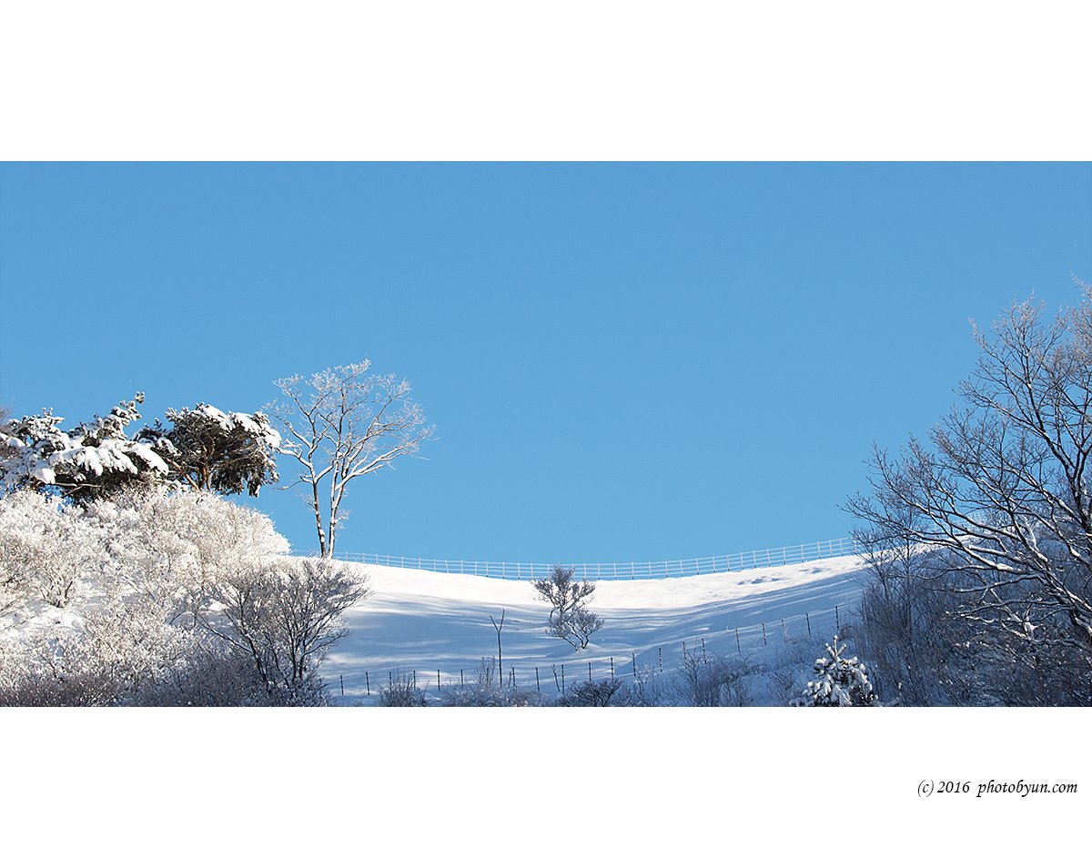 181A9901.jpg : 양때목장