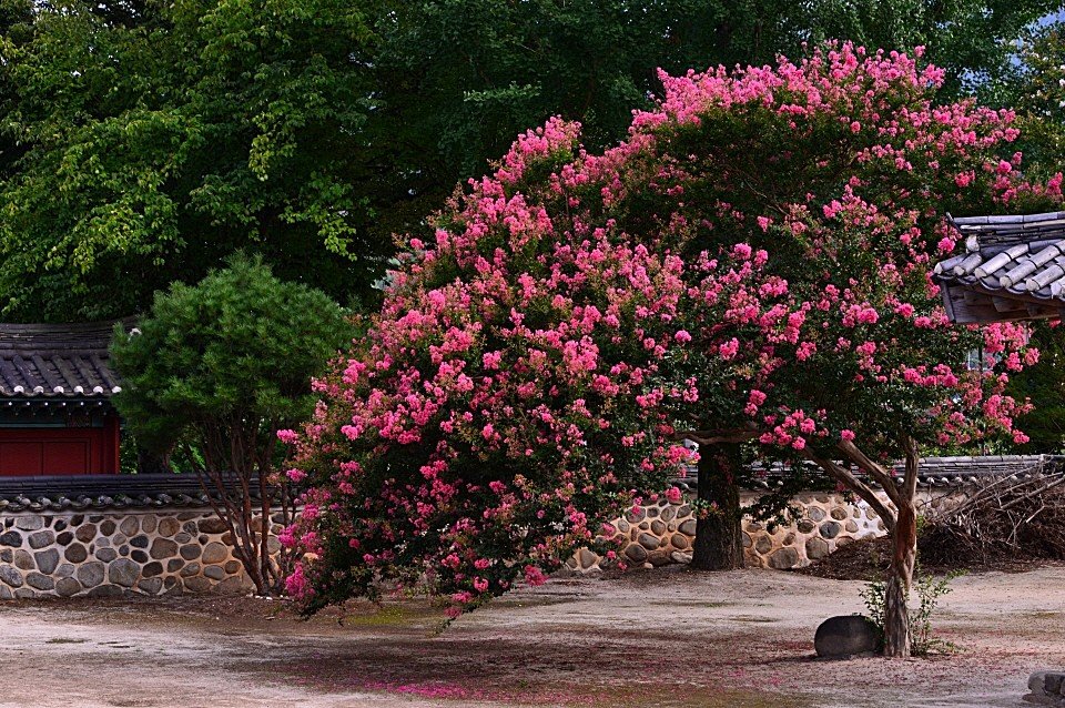 BandPhoto_9914292125.jpg : 산청군 덕천서원