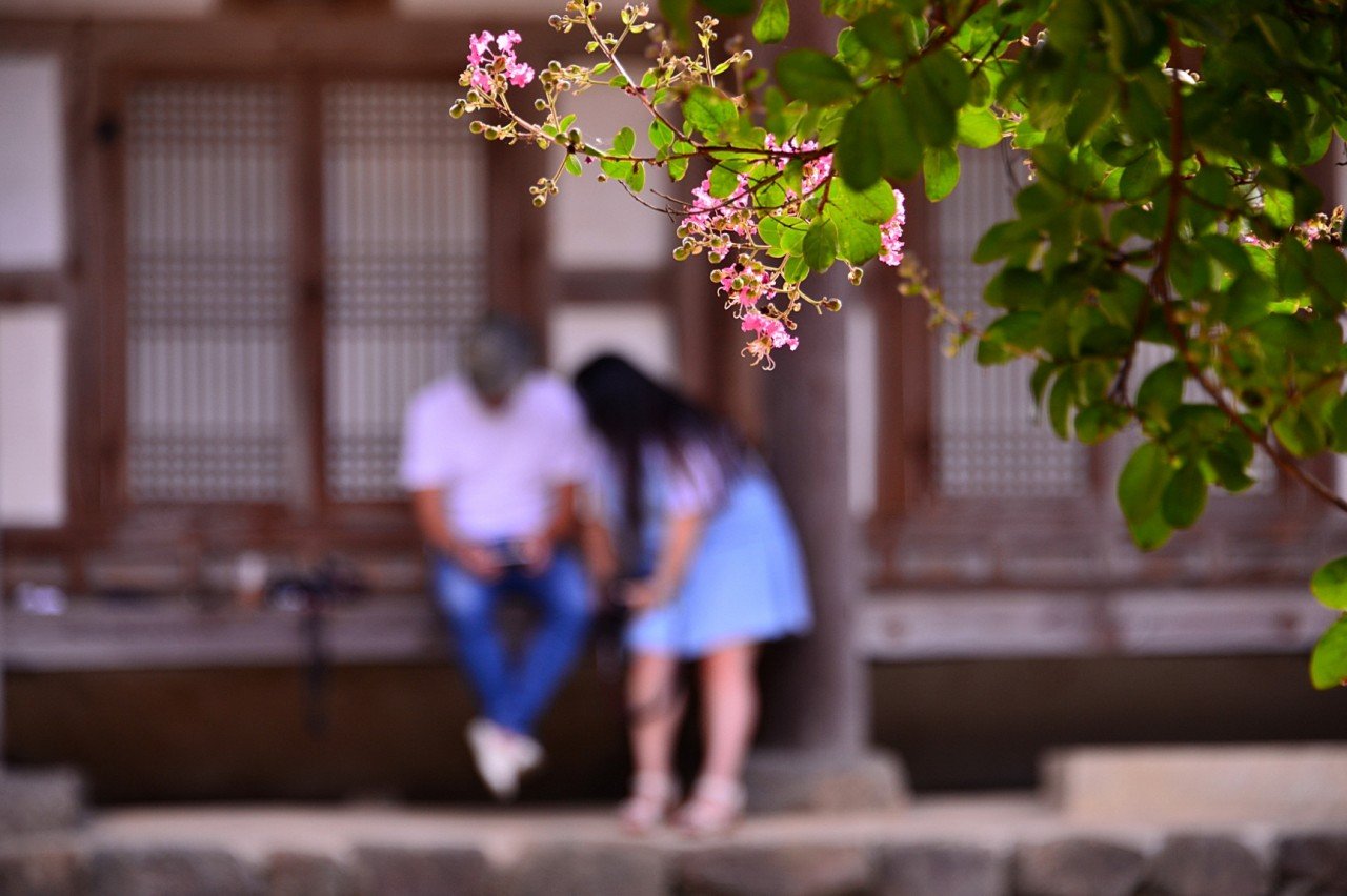 BandPhoto_9914292131.jpg : 산청군 덕천서원