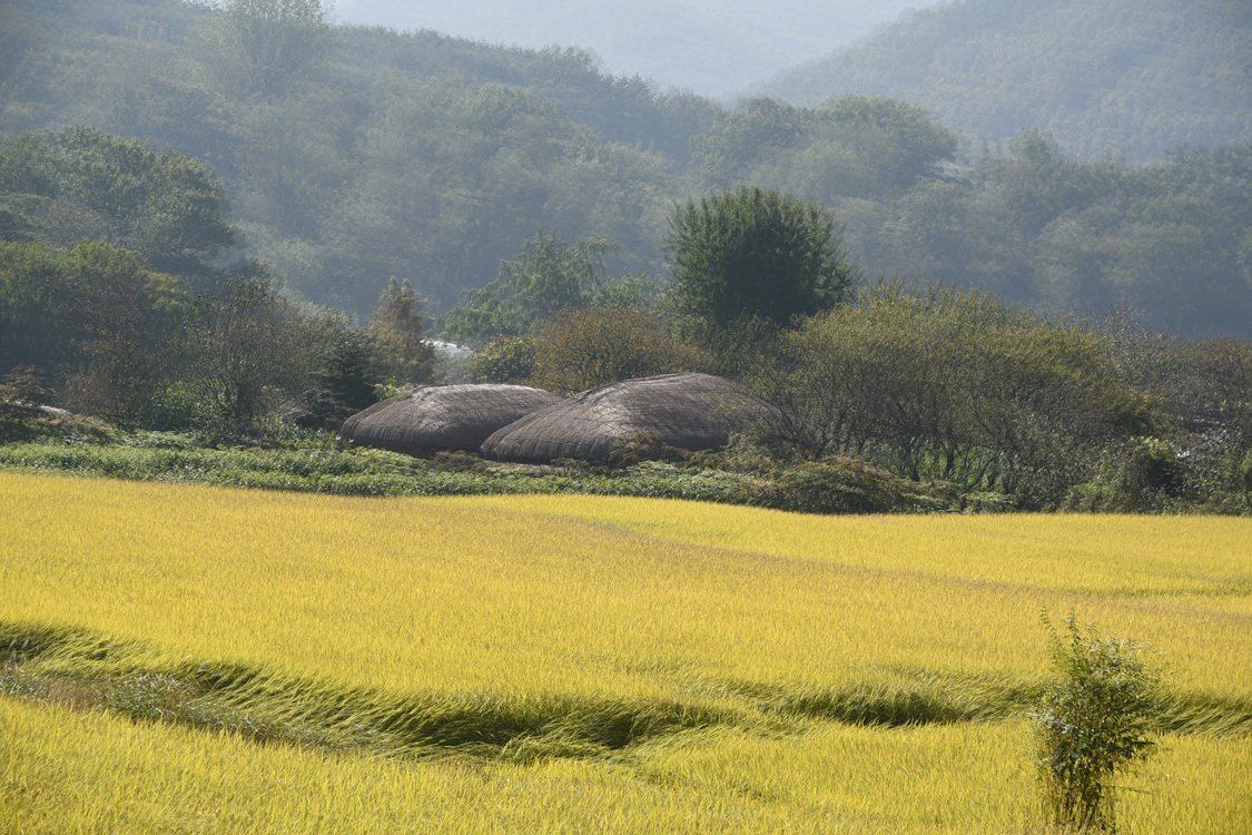 DSC_7189.jpg : 외암 민속마을.....