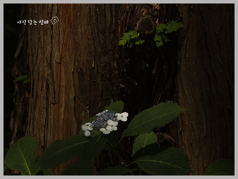 CE3A0313best1resize.jpg : 정모 숙제2