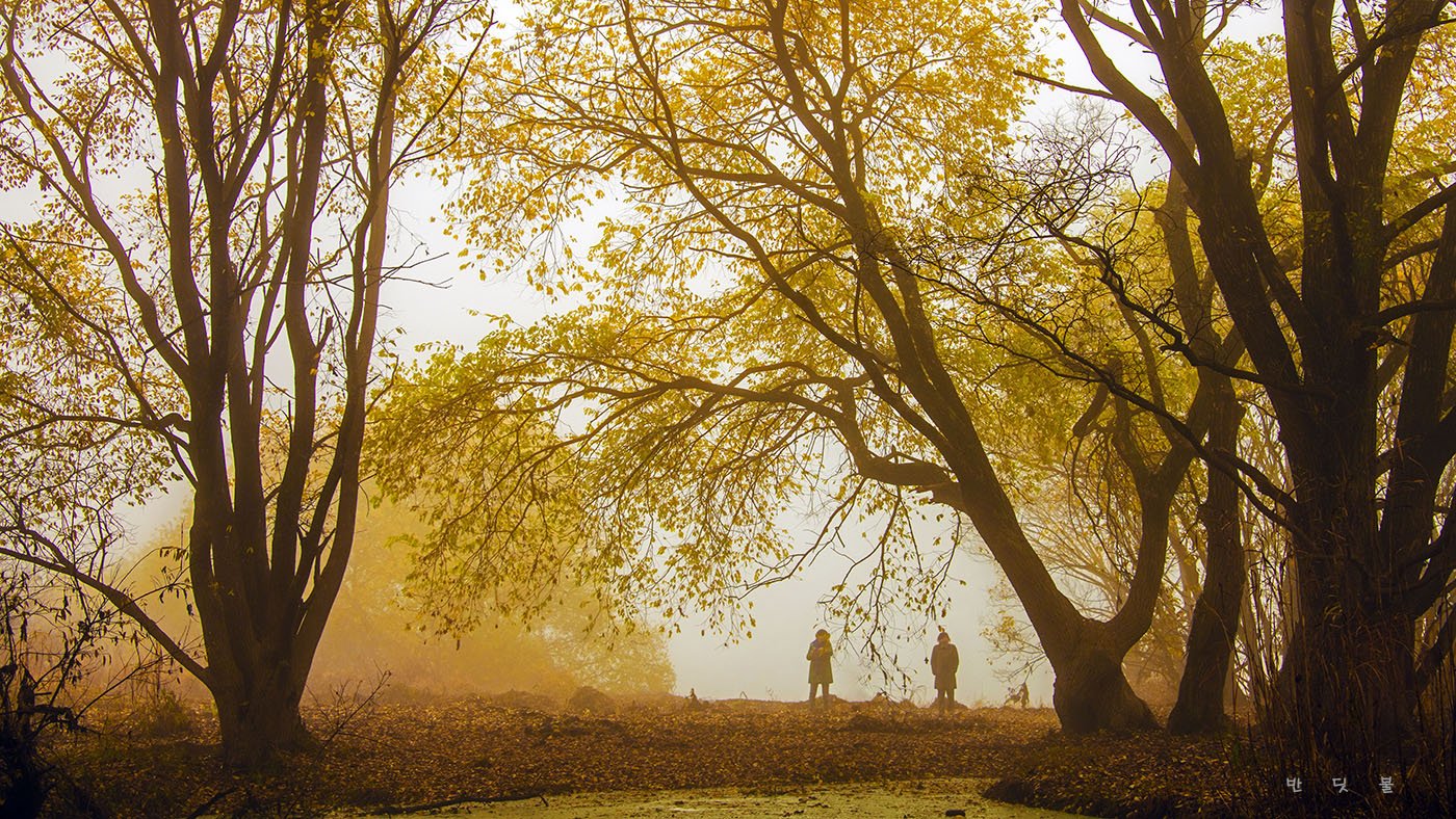 _DSC6146-2.jpg : 우포에서 ~