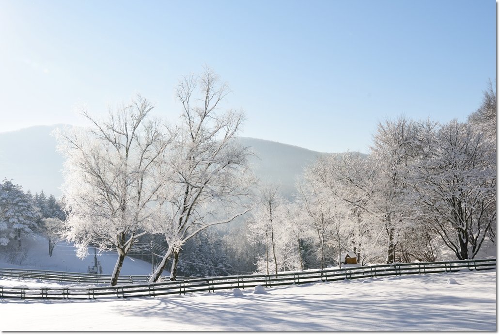 DSC_4519.jpg : 양떼목장