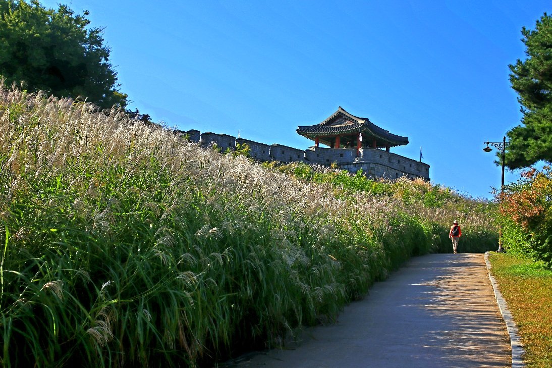 IMG_0041.JPG : 억새2