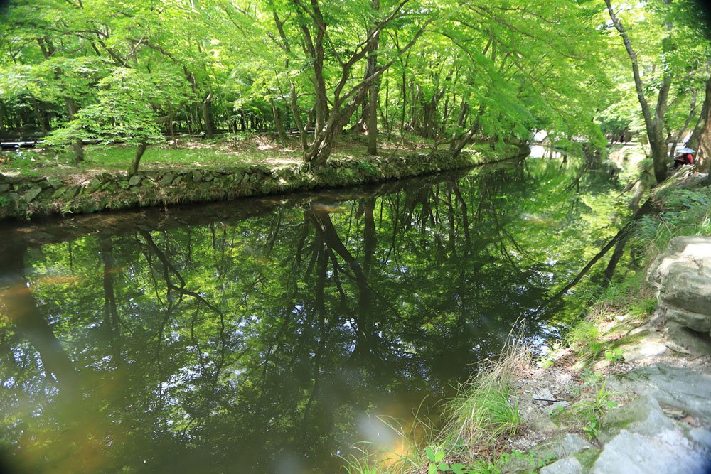 IMG_5057-.jpg : 계곡과 메밀밭