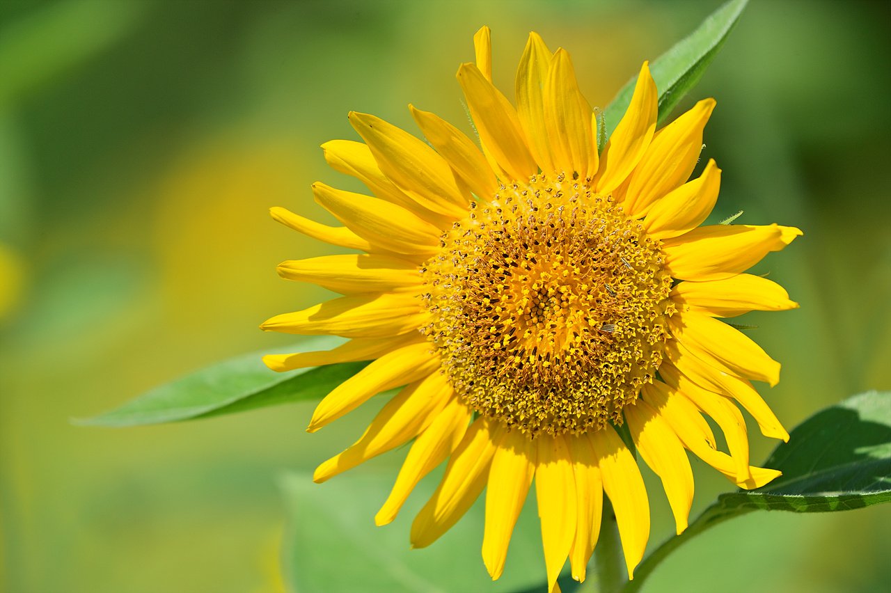 _DSC0482.jpg : 2023년9월정모 숙제 입니다