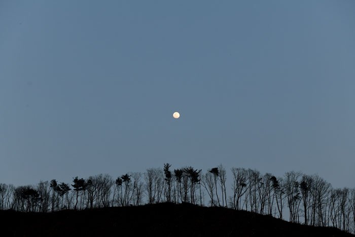 DSC_0024.JPG : 기변