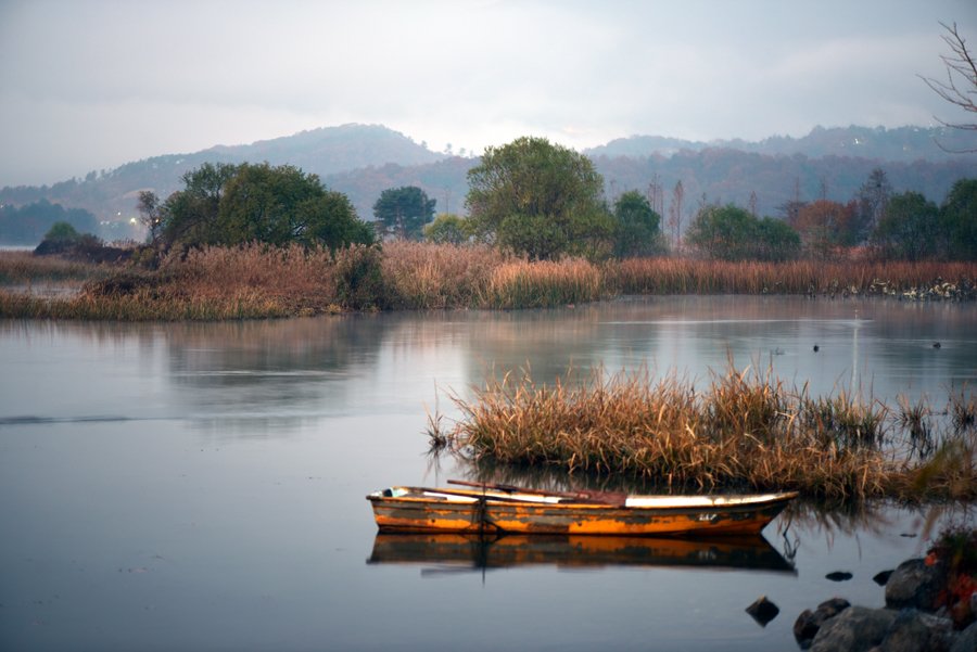 DSC_1534.JPG : 정모인정삿