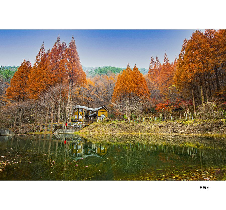 575A99453.jpg : 마지막가을 풍경