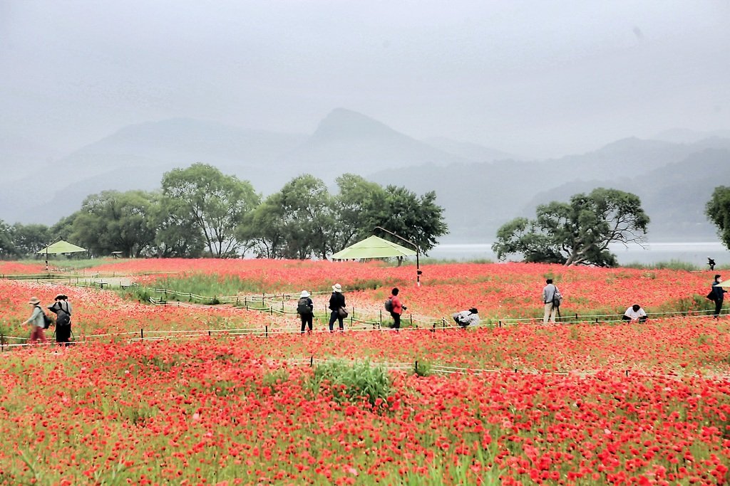 5K5A7442-20200605.jpg : ㅇ꽃정원