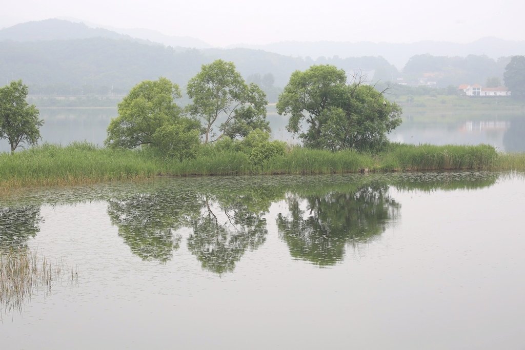 5K5A7476.JPG : ㅇ꽃정원