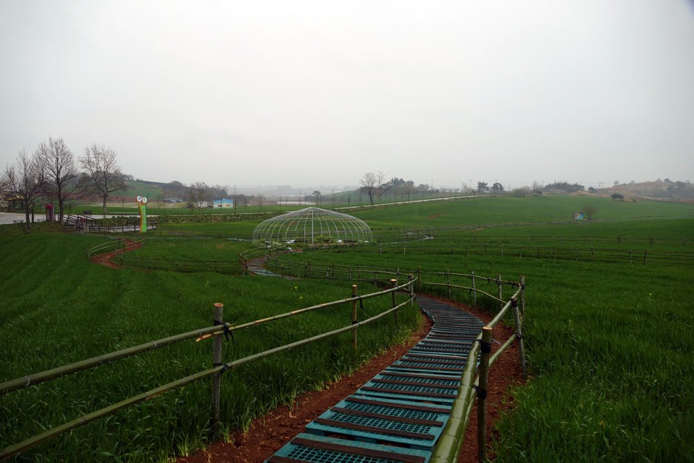 L1020036.JPG : 봄이오는 길목에서