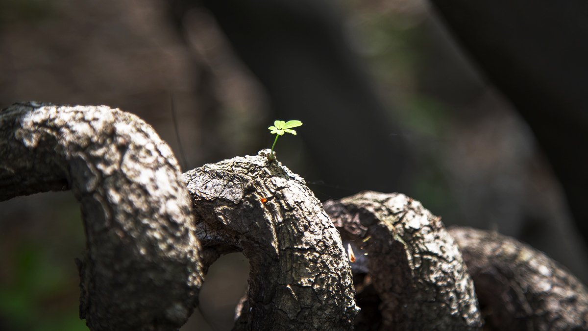 IMG_0606-3.jpg : 정모 숙제 올립니다