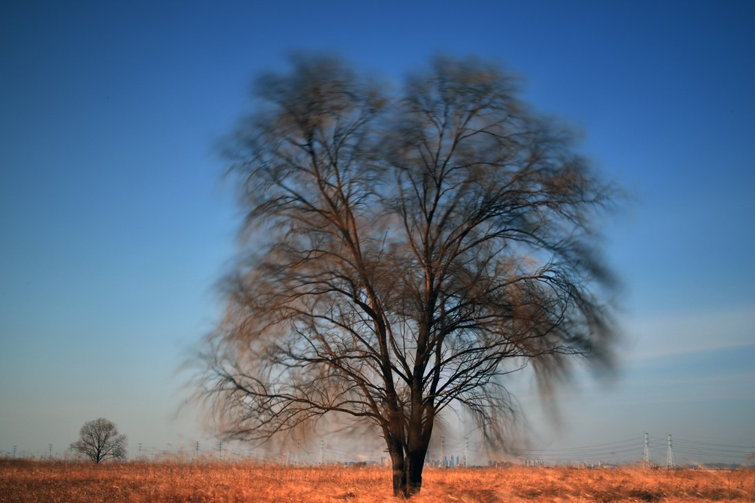 DSC_3350-우음도.jpg : 바람부는 우음도에서