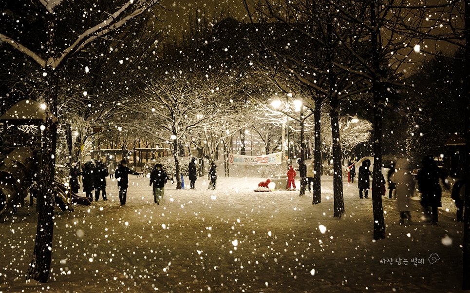 CE3A9985-2resizejpg.jpg : 눈오는날....