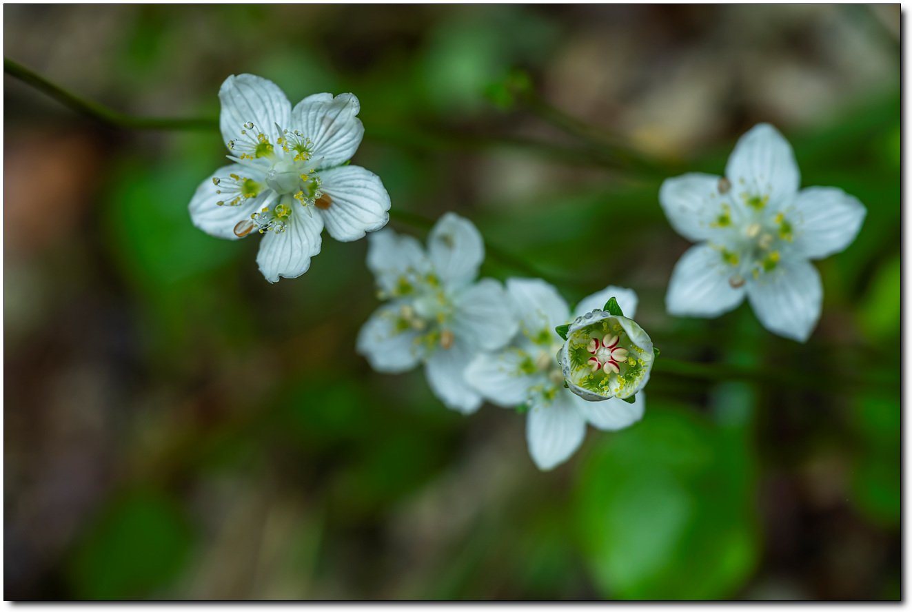 _DSC3998.jpg : 립스틱 짙게 바르고~