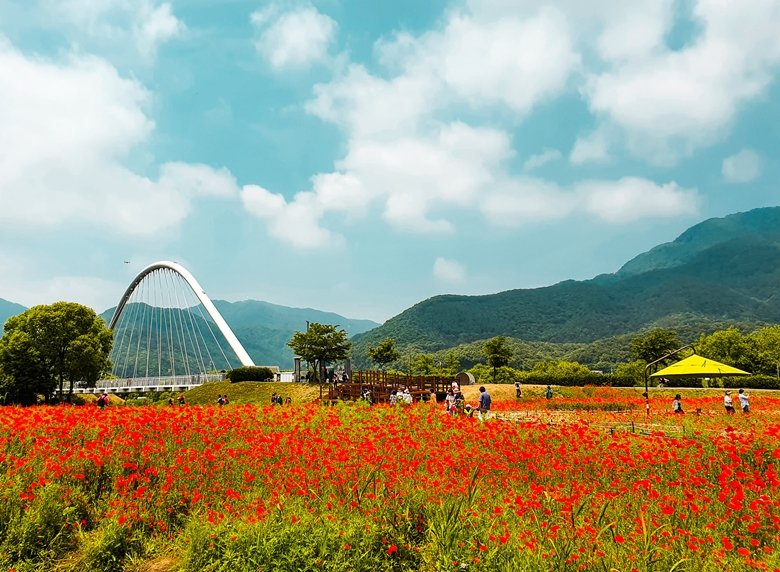 20200604_104134-3.jpg : 물에정원