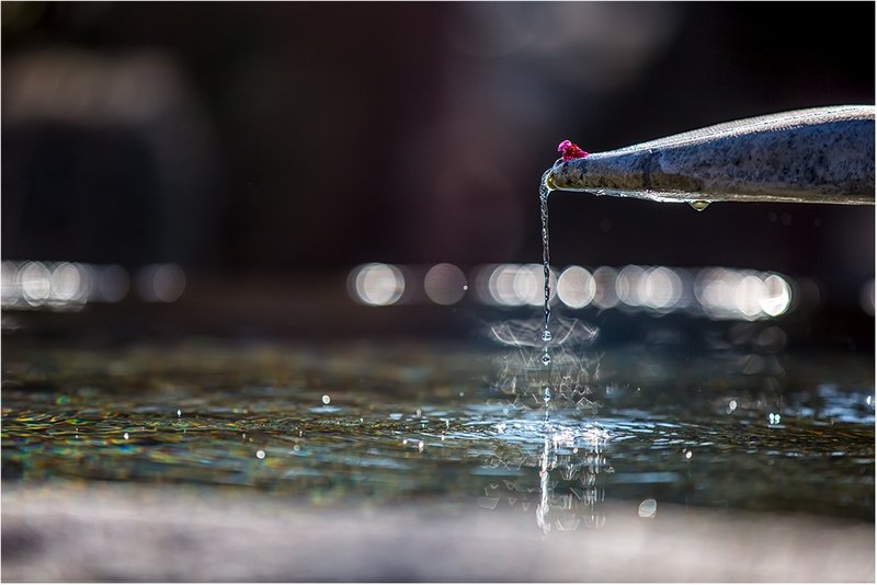 통도사-4-Web.jpg : 봄소풍