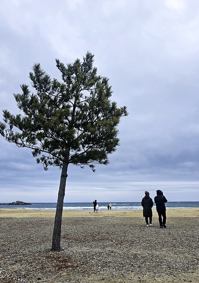 20240203_.jpg : 동행