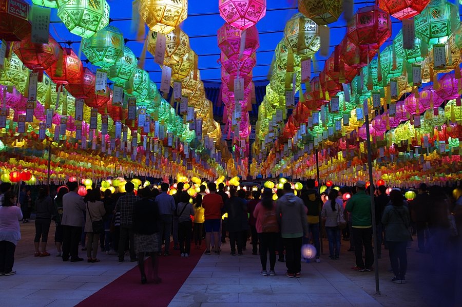 IMGP3224.JPG : 무제,,,,