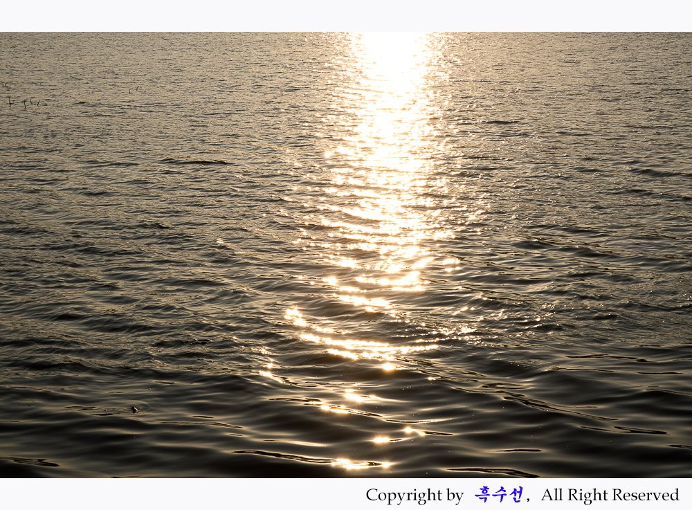 눈부심 완정작.jpg : 금빛 물결