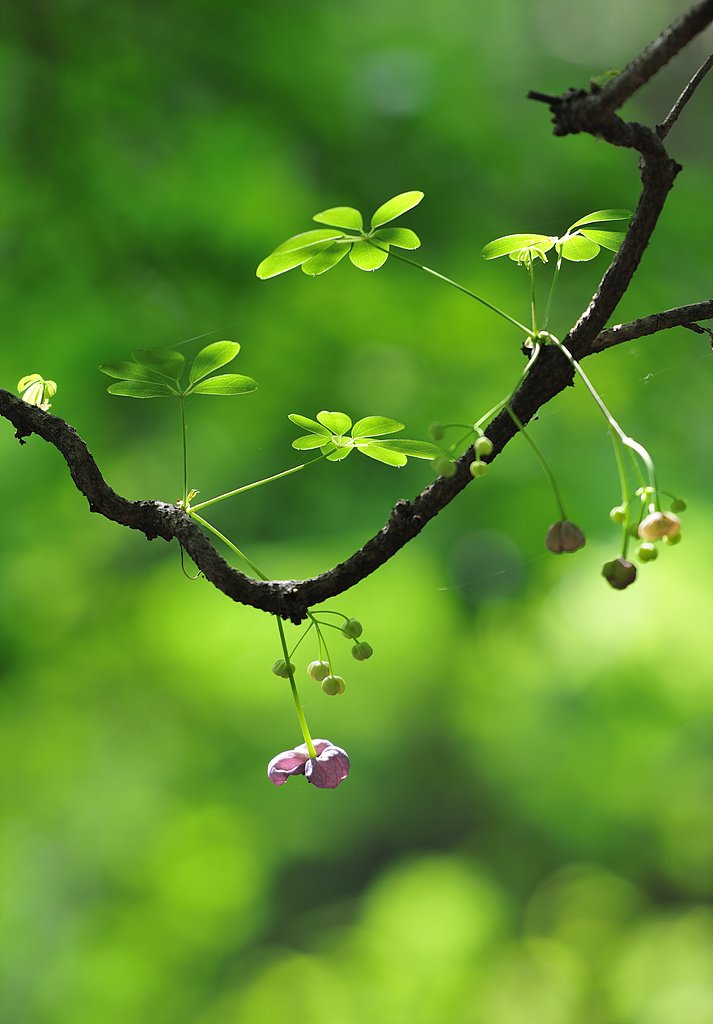 _DSC4473_00001.jpg : 정모숙제